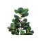 Monarch Specialties Artificial Plant, 49" Tall, Fiddle Tree, Indoor, Faux, Fake, Floor, Greenery, Potted, Real Touch I 9517 - alternate 2